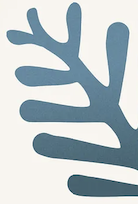 Decorative right shape